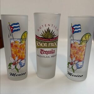 Frosted Shot Glass Set - White